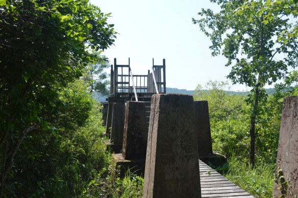 This observation tower along the Lake (Yellow) Trail at White Memorial sits at the point where ice was taken out of the lake and sent to the ice house.