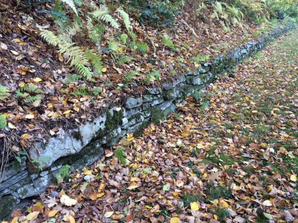 The explorer can appreciate the beauty of the CCC's stonewalls. The CCC was established by the Roosevelt Administration as a New Deal agency to both protect the environment and give work to 18-24 year old men.